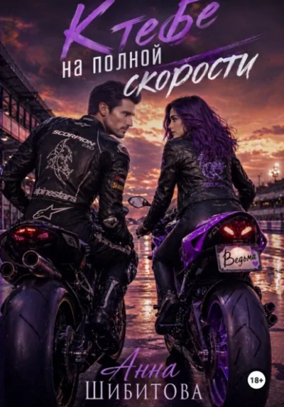 К тебе на полной скорости - Анна Шибитова - Слушать Любимую Книгу + Без Рекламы Slushat-Knigi.Com