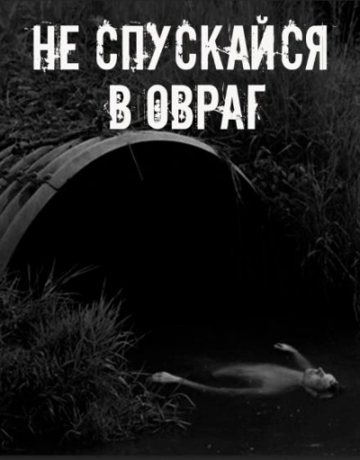 Не спускайся в овраг - Слушать Любимую Книгу + Без Рекламы Slushat-Knigi.Com