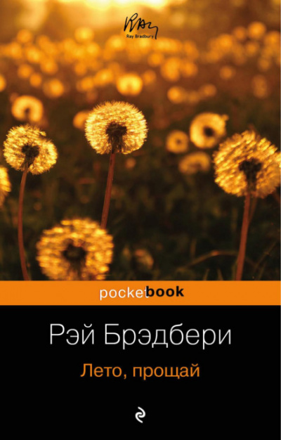 Лето, прощай - Рэй Брэдбери - Слушать Любимую Книгу + Без Рекламы 📲 Slushat-Knigi.Com