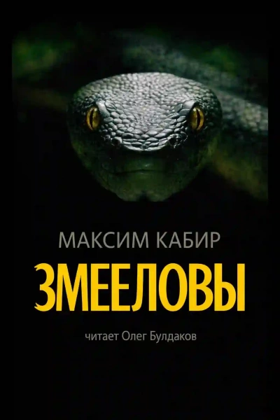 Змееловы. Исцеление - Кабир Максим - Слушать Любимую Книгу + Без Рекламы Slushat-Knigi.Com