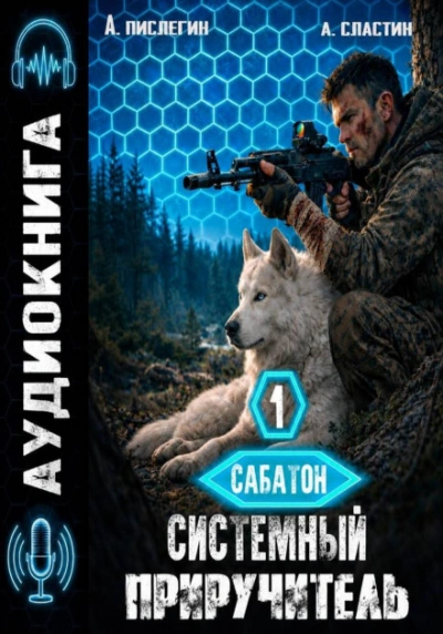 Системный приручитель 1 - Пислегин Алексей - Слушать Любимую Книгу + Без Рекламы Slushat-Knigi.Com