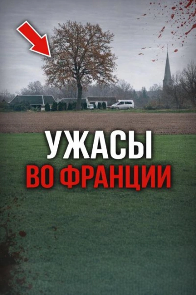 Идеальное преступление - Слушать Любимую Книгу + Без Рекламы Slushat-Knigi.Com