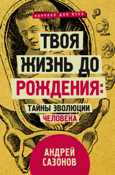 Твоя жизнь до рождения: тайны эволюции человека - Андрей Сазонов - Слушать Любимую Книгу + Без Рекламы 📲 Slushat-Knigi.Com