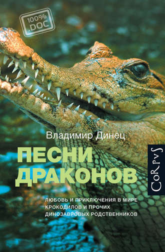 Песни драконов - Владимир Динец - Слушать Любимую Книгу + Без Рекламы 📲 Slushat-Knigi.Com