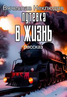 Путевка в жизнь - Вячеслав Неклюдов - Слушать Любимую Книгу + Без Рекламы 📲 Slushat-Knigi.Com