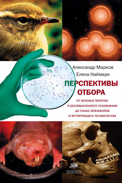 Перспективы отбора - Александр Марков, Елена Наймарк - Слушать Любимую Книгу + Без Рекламы 📲 Slushat-Knigi.Com